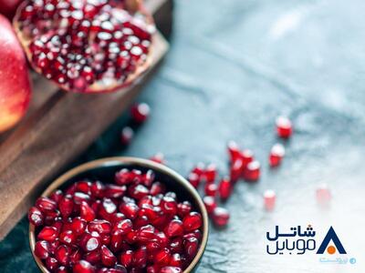 شاتل موبایل بسته‌های اینترنتی خود را به مناسبت یلدا با تخفیف عرضه می‌کند - پیوست