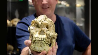 گشف گنج نفیس / فسیل انسان‌تبار «پا کوچولو»  ...  + عکس ها