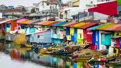  پاییز انزلی جلوه‌ای از طبیعت رنگین در کنار دریای خزر + فیلم