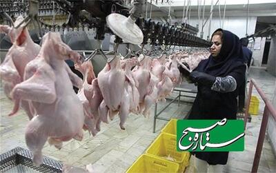  قیمت جدید مرغ امروز دوشنبه 24 آذر 1404؛ بال مرغ کیلویی چند؟