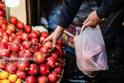 میوه شب یلدا هست، اما گران‌تر از میدان بار | توزیع در ۹ غرفه سطح شهر مشهد