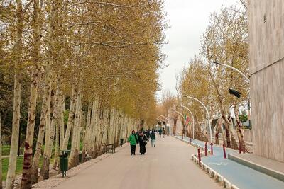 هوای مشهد پاک شد | نفس راحت مشهدی‌ها در آخرین روزهای پاییز (دوشنبه، ۲۴ آذر ۱۴۰۴)