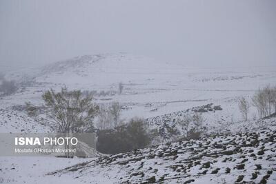 مردم این استان‌ها منتظر بارش حجیم برف باشند