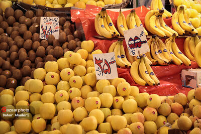 نمایشگاه و جشنواره شب یلدا در زنجان کار خود را آغاز کرد