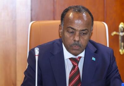 سومالی: هیچ گونه رابطه‌ای با رژیم اسرائیل نداریم - تسنیم