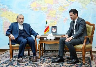 ولایتی در دیدار سفیر ارمنستان: پروژه ترامپ همان دالان زنگه زور با قالب آمریکایی است - تسنیم