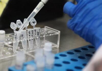 حمایت ویژه ایران‌ساخت از خریداران تجهیزات پیشرفته ژنتیک - تسنیم