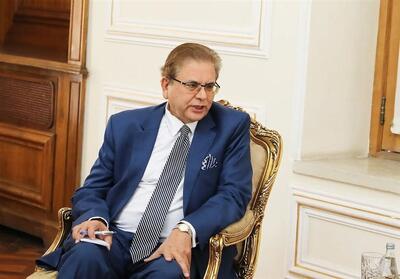 پاکستان: تروریسم مانع همگرایی اقتصادی منطقه است - تسنیم