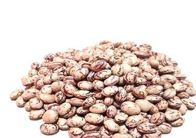 رشد 27 برابری قیمت لوبیا چیتی در 6 سال - تسنیم