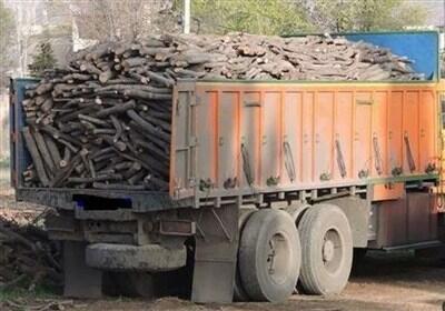 کشف بیش از 1.3 تن چوب قاچاق و زغال قاچاق در آران و بیدگل - تسنیم