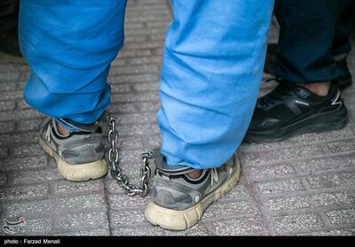 قتل مادر به دست پسر در یاسوج/ سرعت عمل پلیس راز جنایت را فاش کرد - تسنیم