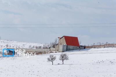 سهند سپیدپوش