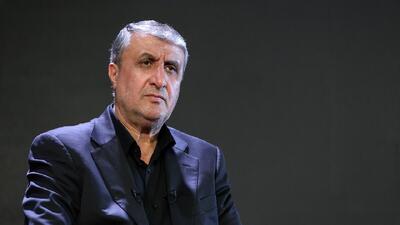 اسلامی: ۲۰ رادیودارو در فاز تحقیقات داریم