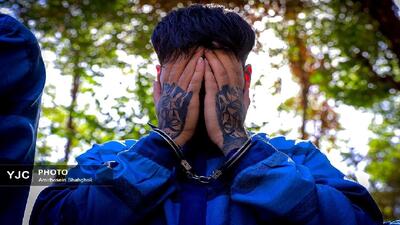 دستگیری سارق گوشی قاپ حرفه‌ای در مرکز تهران