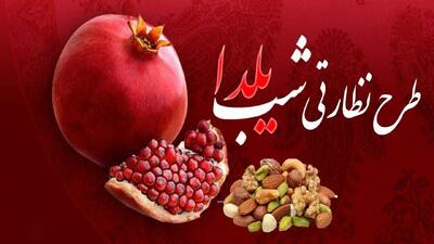  بازرسی از ۲۲۷ واحد صنفی در طرح نظارتی شب یلدا