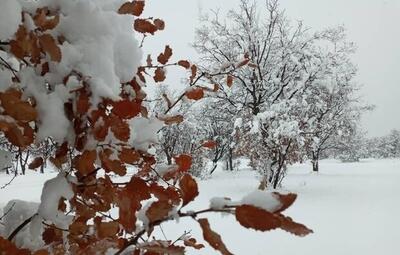 بارش تگرگ و برف خوزستان پیش بینی می شود