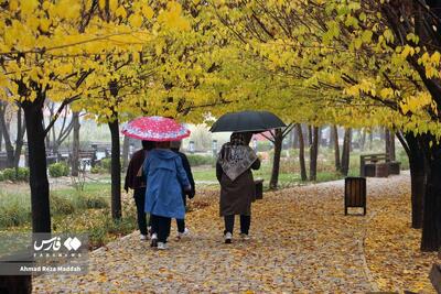  بارش باران پاییزی در شیراز