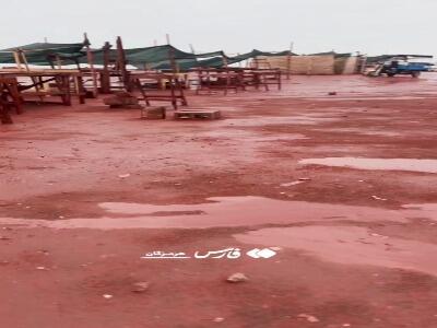 بارش نعمت الهی روی خاک سرخِ هرمز