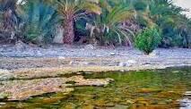  طبیعت زیبای سیستان‌و‌بلوچستان