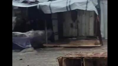  سیل در غزه