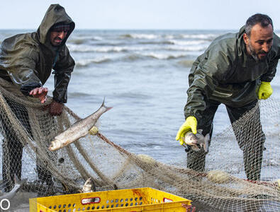 معیشت سخت صیادان شمال