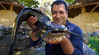 تهیه سوپ و کباب گربه ماهی در یک روستایی بهشتی (فیلم)