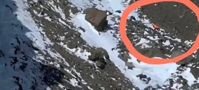 کشف پیکر بانوی کوهنورد در ارتفاعات دماوند (فیلم)