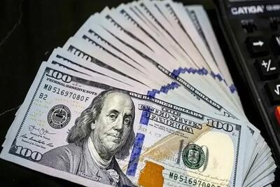 افزایش نرخ ارز ریشه در تورم دارد