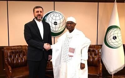 غریب آبادی: ایران در ماه‌های آینده میزبان کنفرانس «جنبش جهانی حمایت از خانواده» خواهد بود