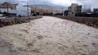 باران رودخانه تاریخی سیراف را پر آب کرد