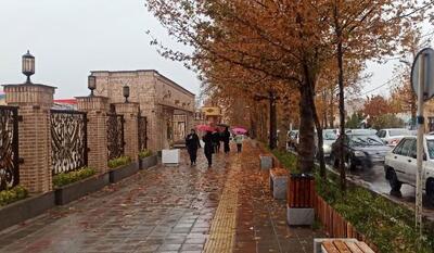 تصاویری ناب از بارش شدید باران در جنوب ایران