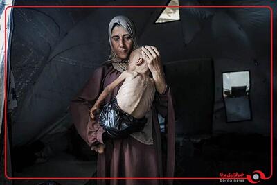 نگاهی به چند عکس برگزیده سال ۲۰۲۵