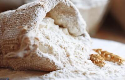  فناوری ایرانی ضایعات نان را کاهش می‌دهد!