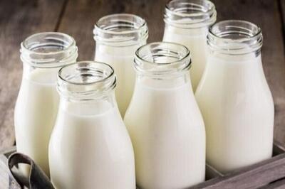 نامه سرگشاده انجمن صنایع لبنی به پزشکیان/ هیچ دامداری شیر خام را کمتر از ۳۵۰,۰۰۰ ریال نمی فروشد