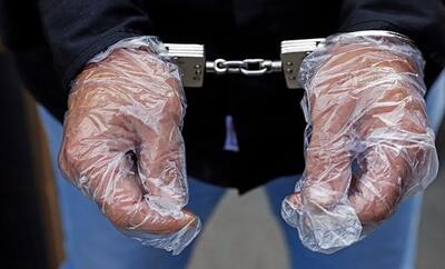 شناسایی و ثبت اطلاعات بیش از ۲۱۸۰ مالخر حرفه‌ای در کشور