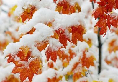 گزارش هواشناسی امروز ۲۵ آذر ۱۴۰۴