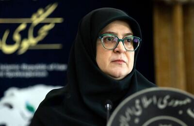  سخنگوی دولت: استعفای وزیر نفت را به‌شدت تکذیب می‌کنم+ فیلم