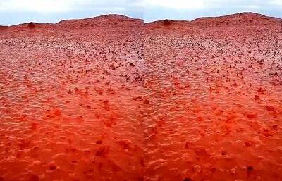 ویدیو / بارش باران روی خاک سرخ جزیره هرمز