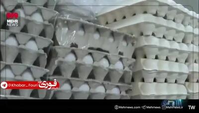 ببینید| چرا تخم مرغ گران شد؟