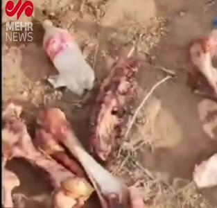 جزئیات تکان‌دهنده پرونده کشف ۳ تن گوشت الاغ در تهران