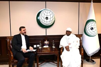 سازمان همکاری اسلامی متعهد به حمایت از ایران