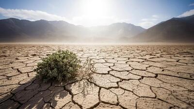 راهکار نهایی برای خشکسالی؛ پایان دغدغه کشاورزان | این ژن تمام معادله را برهم می‌زند