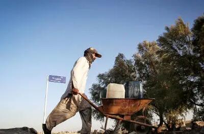  شیراز قربانی توسعه شتاب‌زده شده/ روند فزاینده خشکی با وجود بارندگی‌های مقطعی ادامه دارد