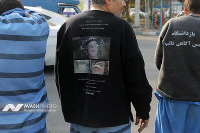 تخم‌مرغ دزدها، موتور دزد می‌شوند!