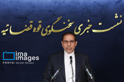 انتقاد سخنگوی قوه قضاییه نسبت به نقض حقوق یک شهروند ایرانی در آمریکا