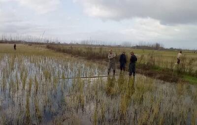 دام‌های هوایی در شرق گیلان جمع آوری شد