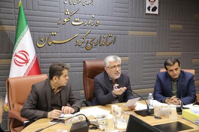  معاون استاندار کردستان: تعاونی‌ها ظرفیت بزرگی برای توسعه استان هستند