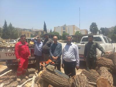  بازداشت ۱۰۱ متخلف در زمینه قطع درخت و قاچاق چوب در کهگیلویه و بویراحمد