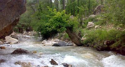 رودخانه‌های سراسر هرمزگان جان گرفتند | جهان نیوز