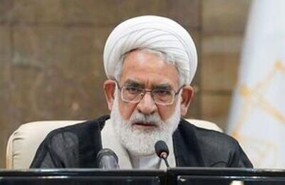  برخی عناصر بی بصیرت از سر جهالت و ناآگاهی آب به آسیاب دشمن می‌ریزند